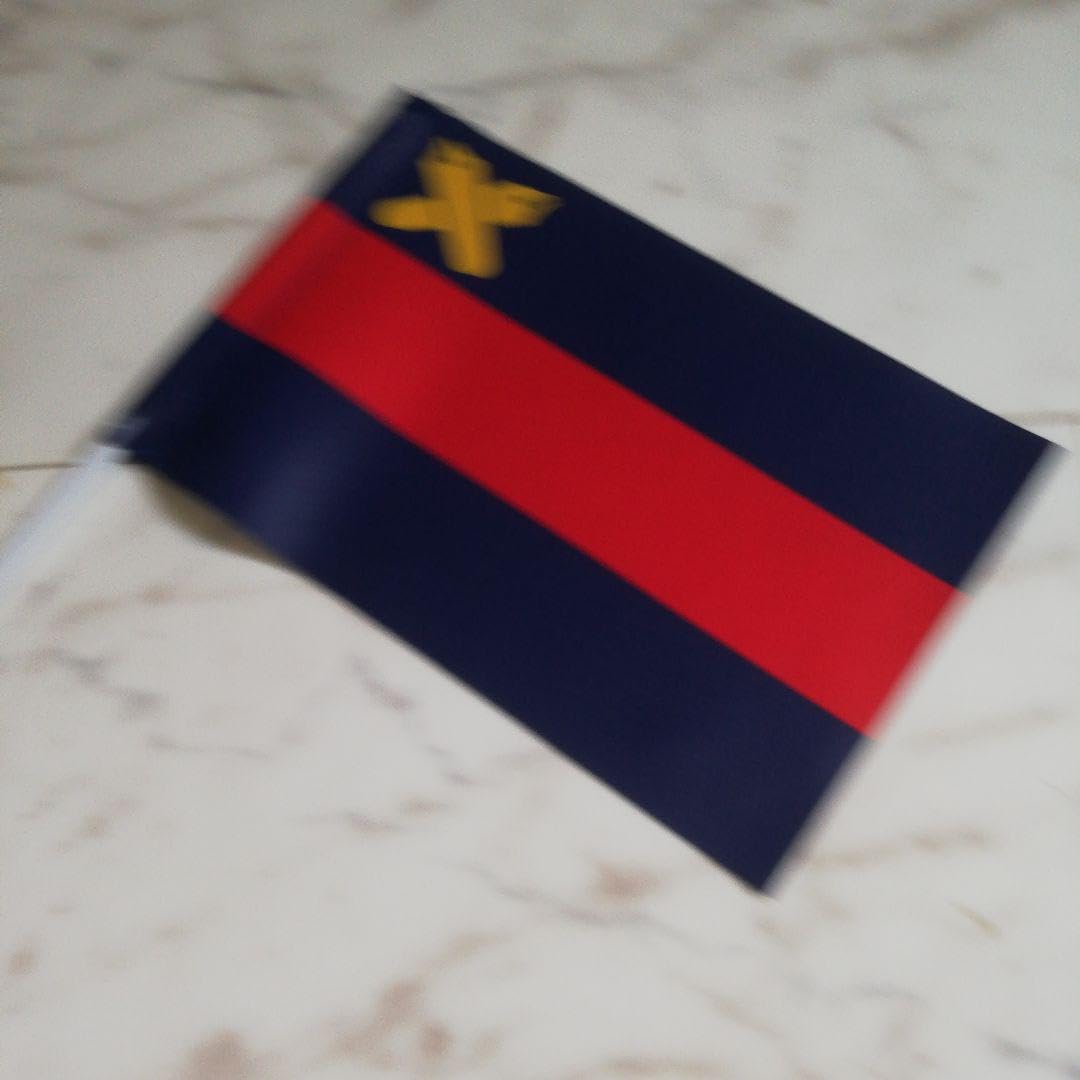 甲子園慶應義塾高校　優勝グッズ 慶應義塾高校甲子園優勝記念タオル - メルカリ